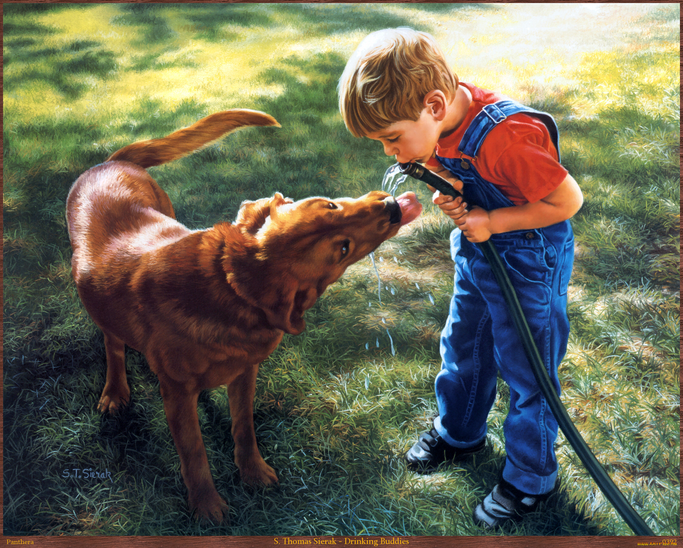 Собака и человек 1 класс. Художник Tom Sierak. Дети и животные доброта. Собака для детей. Мальчик с собакой.